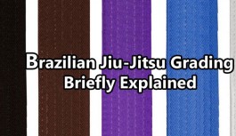 Brazilian Jiu-Jitsu Grading Briefly Explained