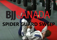 Spider Guard Sweep